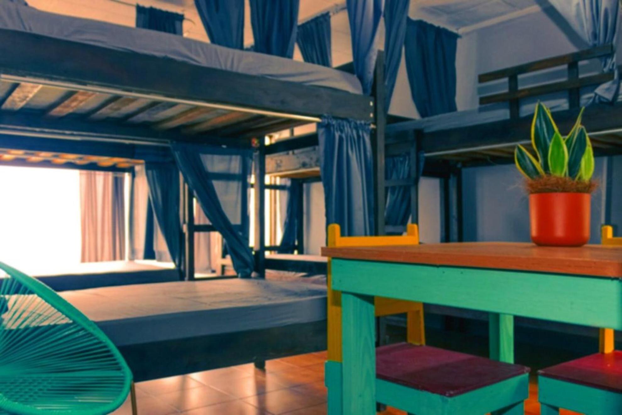 סן חוזה Chillout Hostel Barrio Escalante מראה חיצוני תמונה